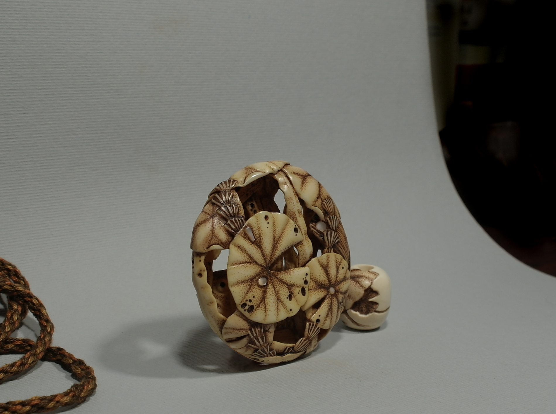 Carp under the lotus leaves 7